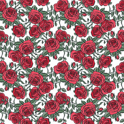 roses seamless pattern background Vector Image