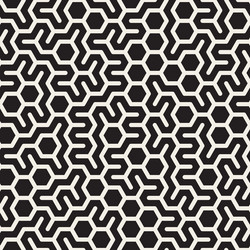 Irregular Hexagonal Grid Pattern vector image