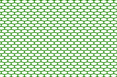 abstract pattern green net on white vector image