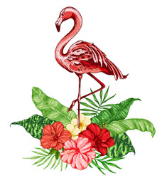 pink flamingo and red tropical flowers Vector Image