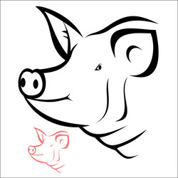 Pig head portrait isolated Royalty Free Vector Image