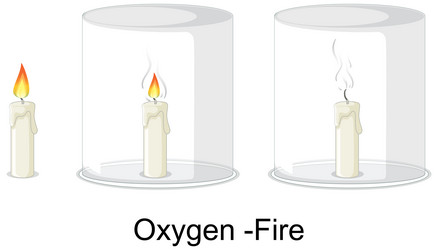 Oxygen and fire science experiment Royalty Free Vector Image