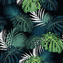 dark and bright tropical leaves with jungle plants Vector Image