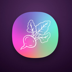 Beet color app icon vector