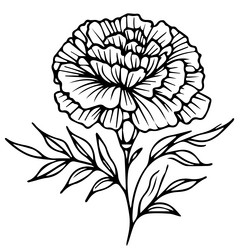 marigold isolated images clip art black tattoo wi Vector Image