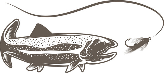 trout fish and lure design template Vector Image
