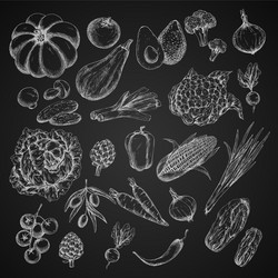 Chalk Vegetable Icons - Harvest Collection Vector Image