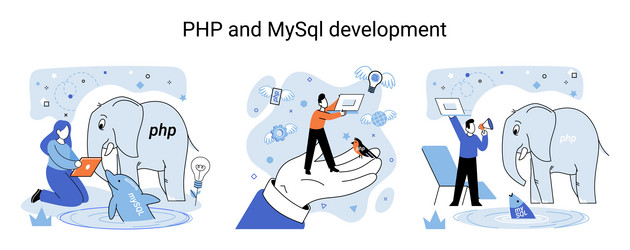 php and mysql development software website vector image