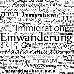 immigration languages newspaper vector