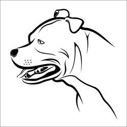 Pitbull Portrait Vector Image