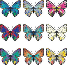 Colorful Butterfly Set vector