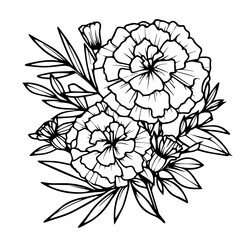 marigold flower bouquet drawings doodle Vector Image