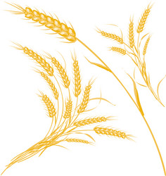Wheat ear symbol Royalty Free Vector Image - VectorStock