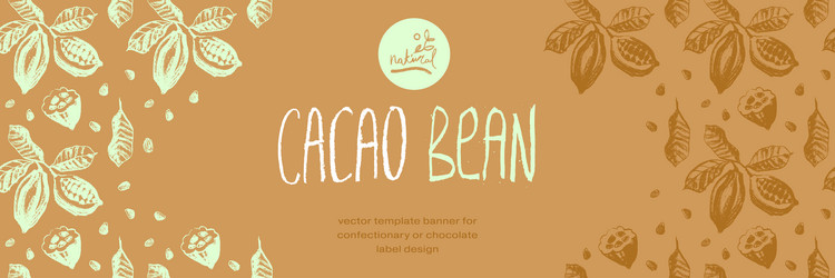 chocolate banner template with cocoa beans pattern vector image