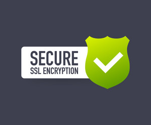 Secure Connection SSL Shield Icon vector image