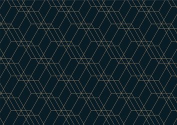 abstract geometric pattern with lines on dark vector image