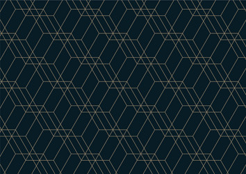 abstract geometric pattern with lines on dark vector