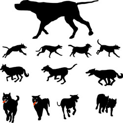 Diverse Dog Silhouettes Vector Image