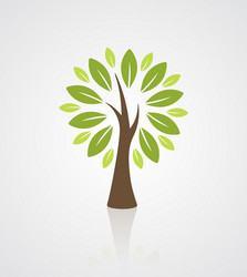 Tree Icon - Botanical Element vector image