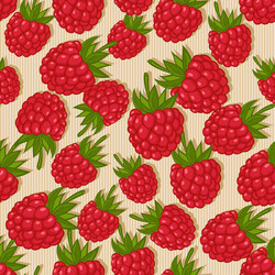 Raspberry Seamless Pattern vector image