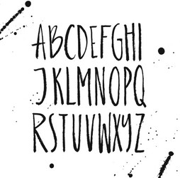 Rustic Brush Script Font vector image