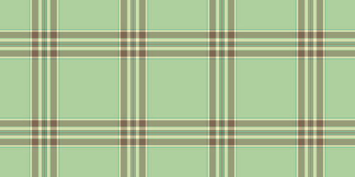 sparse fabric check pattern string plaid textile vector image