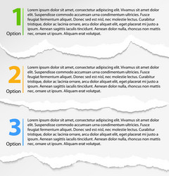 Torn paper progress option labels Royalty Free Vector Image
