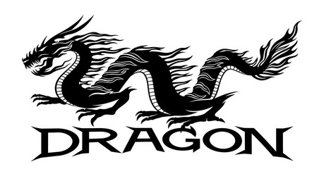 Dark Dragon Symbol Vector Image