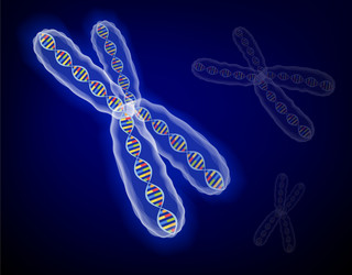 3d structure image many genetic concepts x vector image