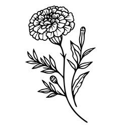 minimalist marigold tattoo in black and white Vector Image