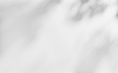 abstract shadow overlay from tree branch vector image