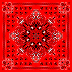 Paisley Bandana Print Vector Image