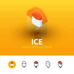 Ice icon in different style vector