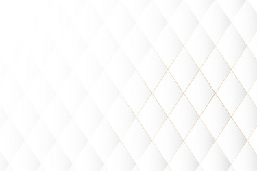 white abstract background with square pattern vector image