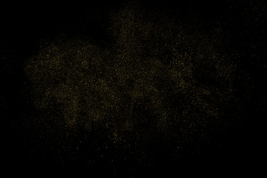 golden stardust Vector Image