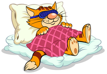 cat sleeping under blanket