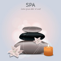 Colorful of spa with flowers candle and sto vector