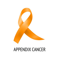 Appendix Icon Vector Images (over 1,500)