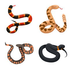 Design snake and creepy sign set vector