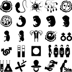 Human pregnancy icons set Royalty Free Vector Image