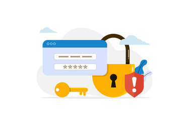 Security shield lock password protection against vector