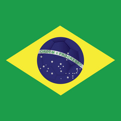 abstract background with a brazil allusive objects vector image