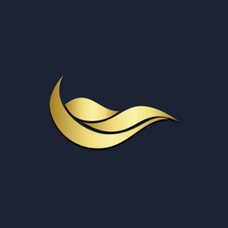 Abstract wave gold logo Royalty Free Vector Image