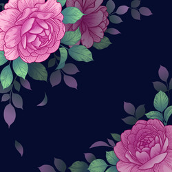 dark background with pink roses arrangement vector