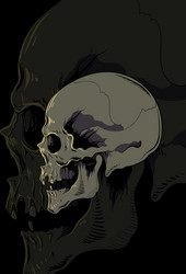 Skull hand drawing Royalty Free Vector Image - VectorStock
