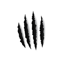 scratches of claw animals nails trace on paper Vector Image