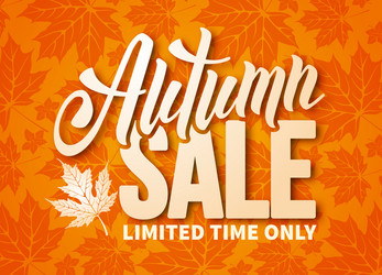 autumn sale Vector Image