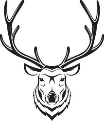 Deer head on white background Royalty Free Vector Image