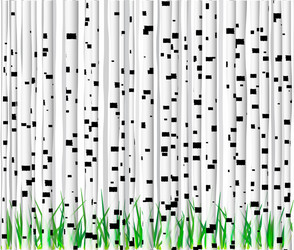 Birch trees and grass background vector