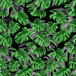 tropical leaves summer seamless pattern Vector Image